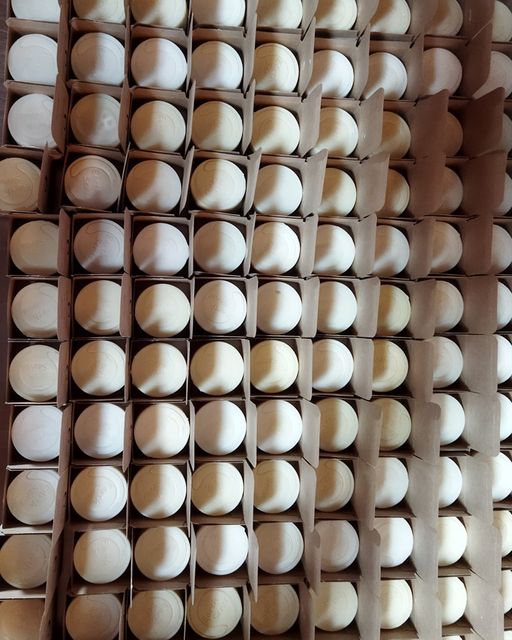 Organic Certified Balancing Solid Shampoo - Sandalwood - Normal & all